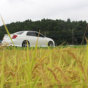 ヴェロッサ JZX110