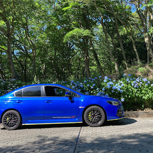 WRX STI