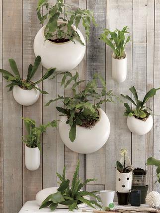 DIY Planter Box Design Ideas