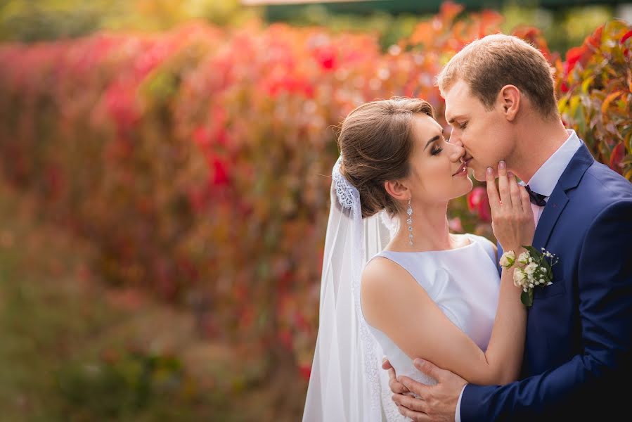 Photographe de mariage Ivan Stepanenko (finer). Photo du 10 décembre 2015