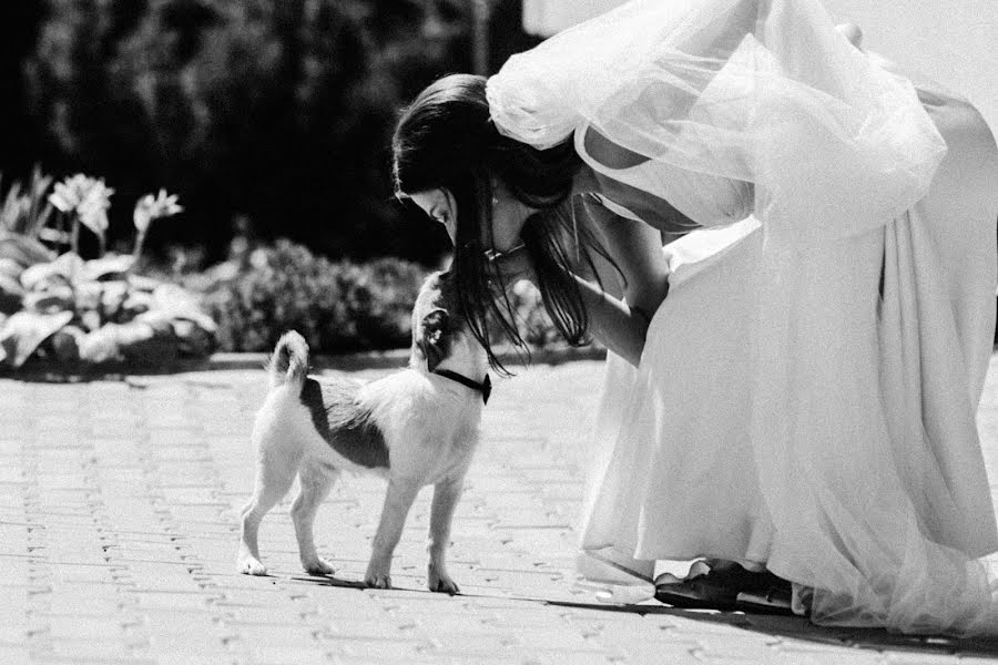 Fotógrafo de casamento Denis Polulyakh (poluliakh). Foto de 29 de janeiro 2016