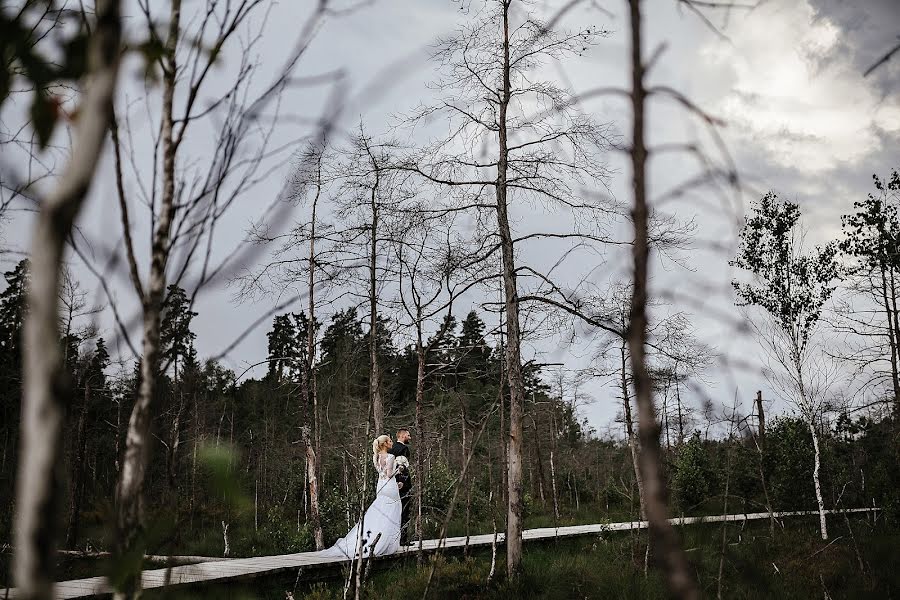 Fotografo di matrimoni Donatas Vaiciulis (vaiciulis). Foto del 24 aprile 2017