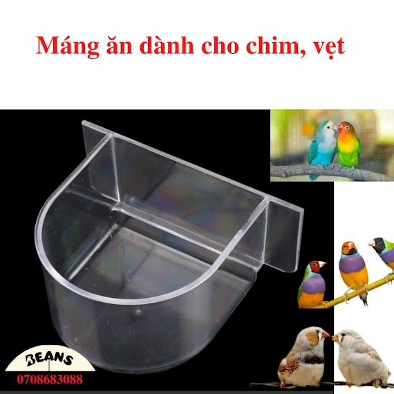 Máng Ăn Dành Cho Chim, Vẹt