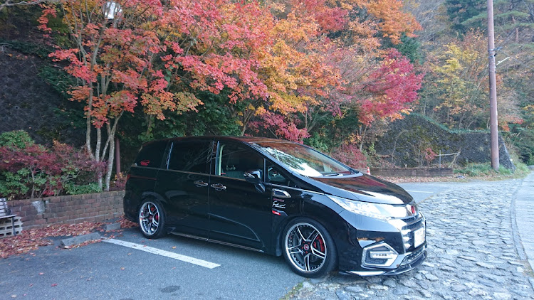 オデッセイの小さい秋見つけた・オデッセイRC4・紅葉ドライブ・山梨県・富士山と愛車に関するカスタム事例の投稿画像3枚目