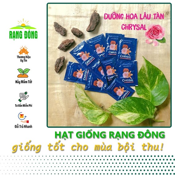 Dưỡng Hoa Lâu Tàn Chrysal - Giúp Hoa Cắm Bình Tươi Lâu Hơn (Gói 5 Gram) - Hạt Giống Rạng Đông