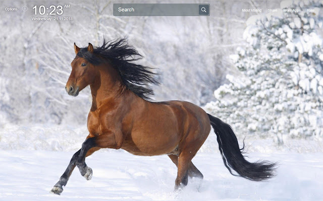 Horses Wallpapers Theme New Tab