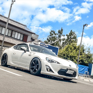86 ZN6