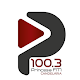 Download Rádio Princesa FM 100.3 - Candelária - RS For PC Windows and Mac 2.0