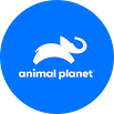 Animal Planet