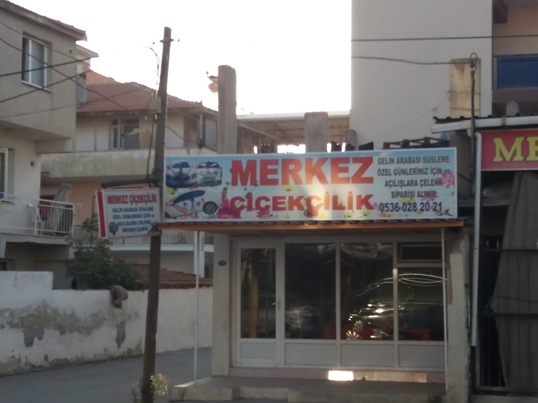 Merkez iekilik