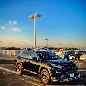 RAV4 MXAA54