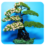 Cover Image of Baixar Bonsai 1.0 APK