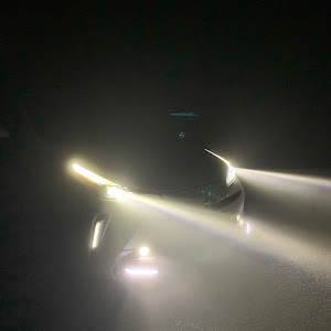 プリウス ZVW51
