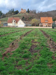 terrain à Kintzheim (67)