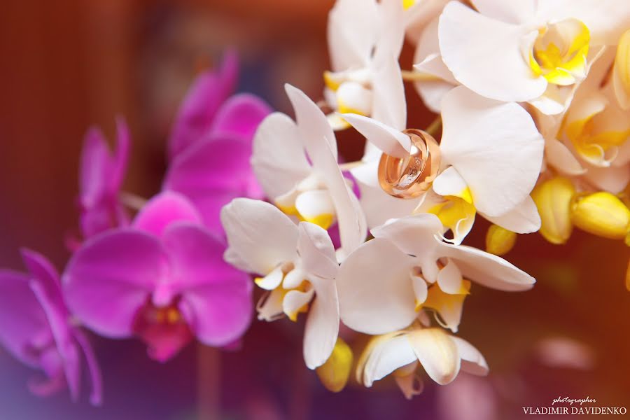 Fotografo di matrimoni Vladimir Davidenko (mihalych). Foto del 15 novembre 2020