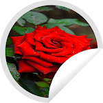 Cover Image of Скачать Figurinhas de Rosas Vermelhas - WAStickerApps 1.2 APK