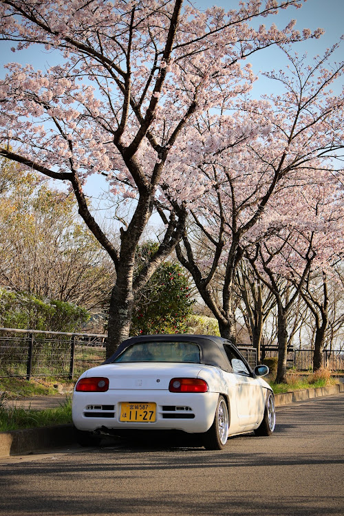 ビートの4月もよろしくお願い致します🌸・桜と愛車・桜コラボ・シャコタンに関するカスタム事例の投稿画像2枚目