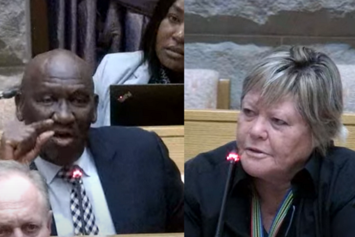 Police minister Bheki Cele and DA MP Glynnis Breytenbach went toe to toe in parliament this week.