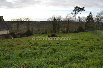 terrain à Renac (35)