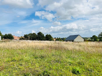 maison neuve à Souligné-Flacé (72)