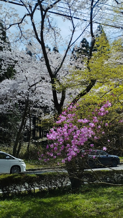 の投稿画像7枚目