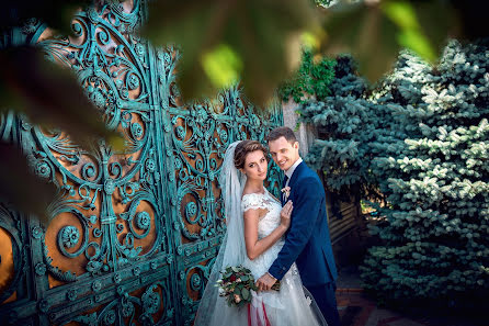 Wedding photographer Alina Bondarenko (alinabond). Photo of 16 January 2018