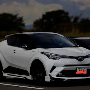 C-HR ZYX10