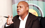  Pule Mabe has been appointed as national spokesperson for the ANC.