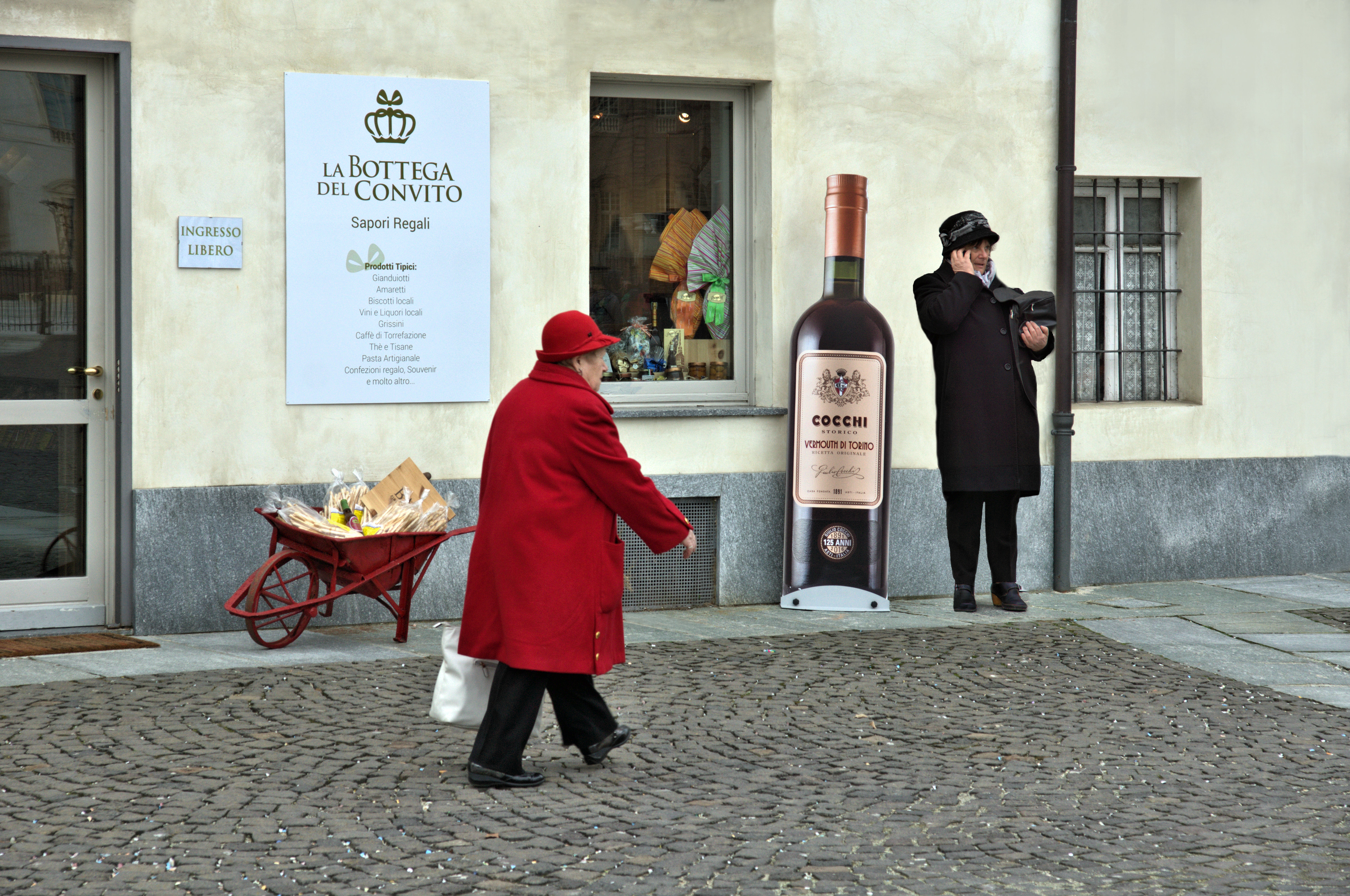 shopping Venaria di ruggeri alessandro