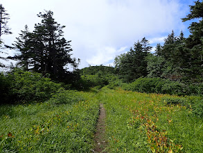 初夏にはお花畑か（奥が三角点峰）