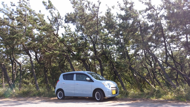 nori515さんが投稿したHA35・アルト・セカンドカー・かわいい車・てっちんに関するカスタム事例の投稿画像2枚目