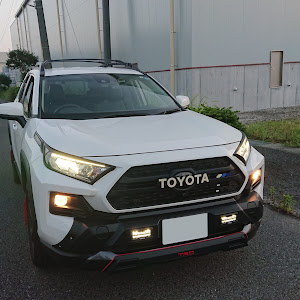 RAV4 MXAA54