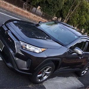 RAV4 MXAA52