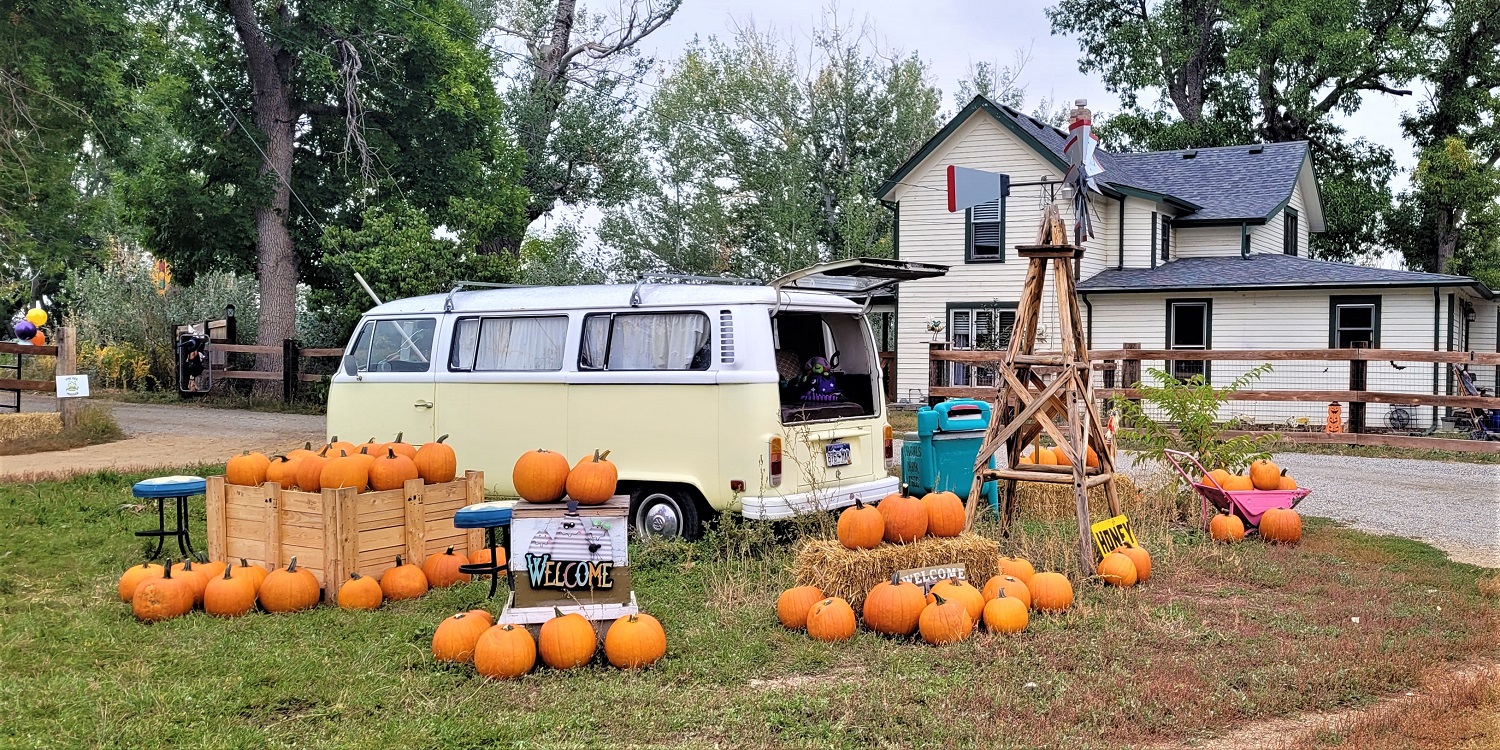 Bee Hugger Farm in Longmont Colorado