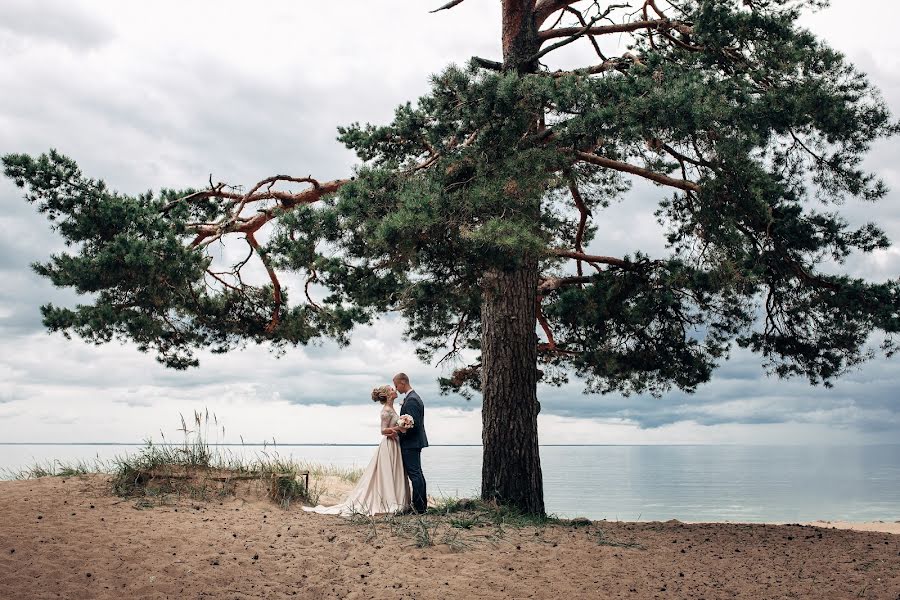 結婚式の写真家Pavel Totleben (totleben)。2018 11月24日の写真