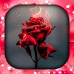 Cover Image of Download Rose Live Wallpaper 2.1.9 APK