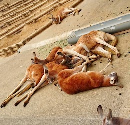 東京都多摩動物公園