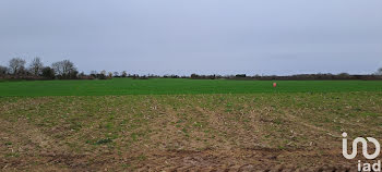 terrain à Portbail (50)