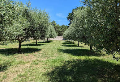 Vignoble avec piscine et dépendances 2