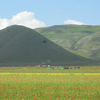 Piani di Castelluccio. di big1947