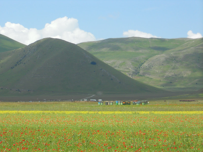 Piani di Castelluccio. di big1947