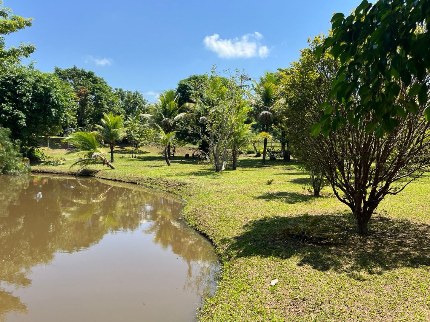 Terrenos à venda Rua Direita