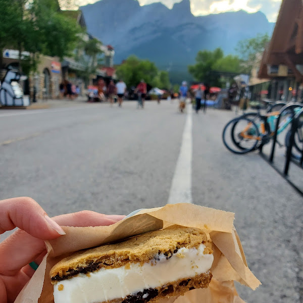 Delicious gf ice cream sandwiches!