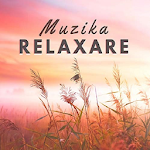 Cover Image of Download Radio cu Muzica de Relaxare Romanesti OnLine 1.0 APK