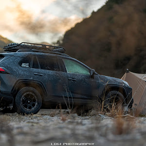 RAV4 MXAA54