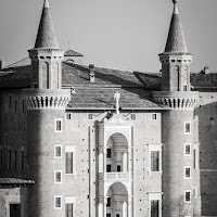 Urbino  di 