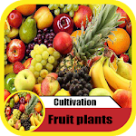 Cover Image of Herunterladen cultivation fruits plants 1.0 APK