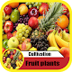 Download cultivation fruits plants For PC Windows and Mac 1.0