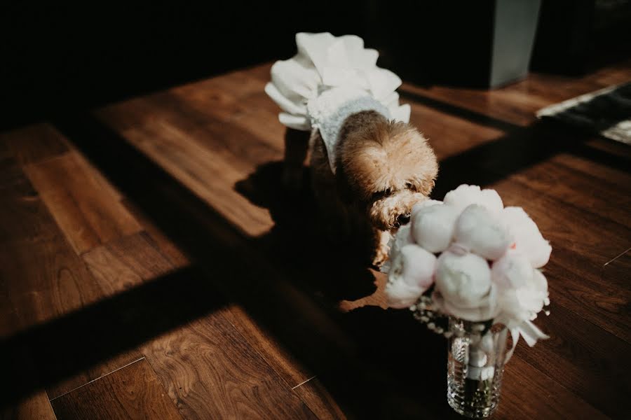 Fotógrafo de bodas Milos Gavrilovic (milosweddings1). Foto del 6 de septiembre 2018