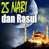 Kisah 25 Nabi dan Rasul Pro icon